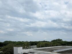 Blk 65 Marine Drive Gardens (Marine Parade), HDB 3 Rooms #541918941